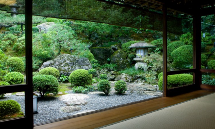 Japanese Garden Design and how to create a serene space